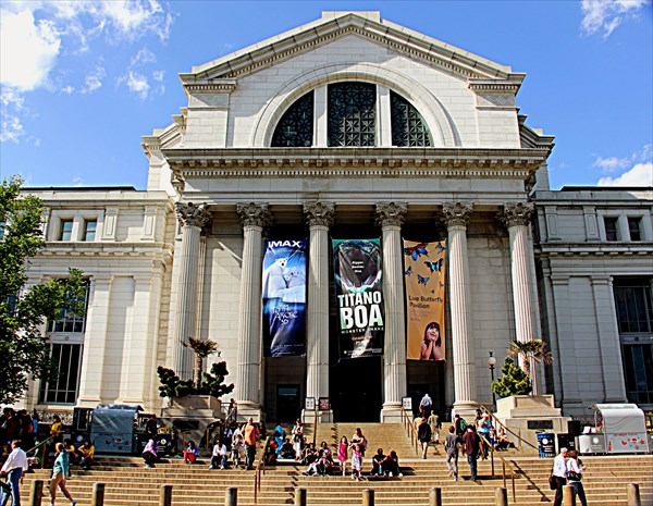 136-Музей естественной истории